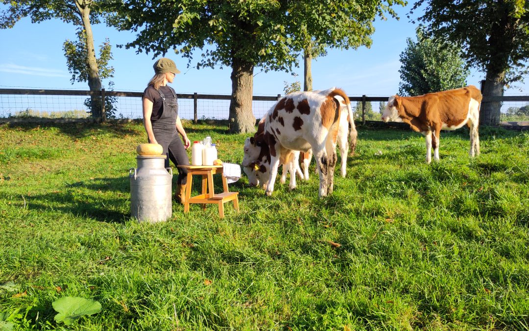 De kracht van fermenteren