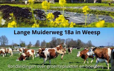 Open dag zaterdag 11 april (kennissessies, rondleidingen, adopteer een koe)