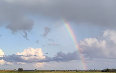 Eindelijk regen