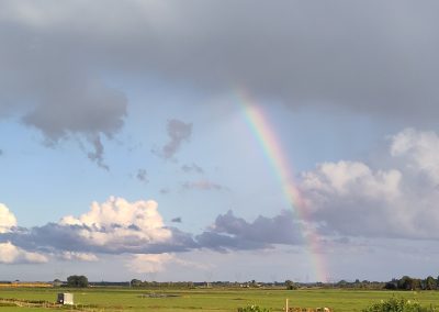 Eindelijk regen